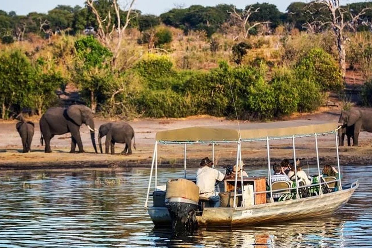 Game viewing on a river in Chobe National Park, Botswana